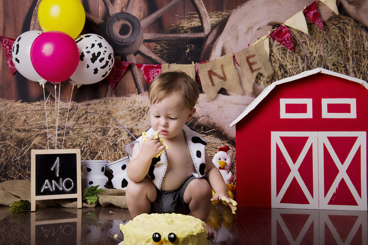 Ensaio smash the cake, ensaio bebê, fotógrafa em Niterói, smash the cake Niterói, smash the cake Rio de Janeiro, smash the cake São Goncalo, smash the cake temático, nossa casa petit, ensaio fotográfico, sessão fotográfica, fazendinha, splash