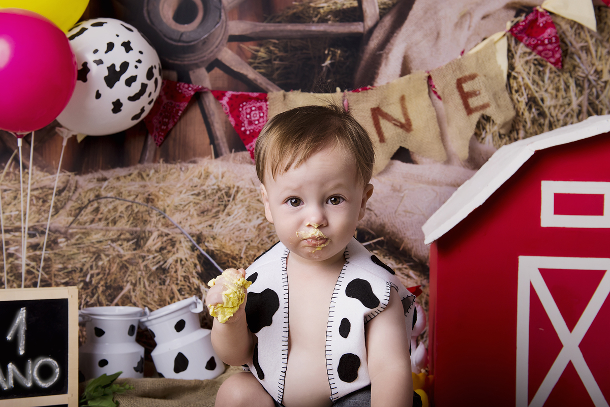 Ensaio smash the cake, ensaio bebê, fotógrafa em Niterói, smash the cake Niterói, smash the cake Rio de Janeiro, smash the cake São Goncalo, smash the cake temático, nossa casa petit, ensaio fotográfico, sessão fotográfica, fazendinha, splash
