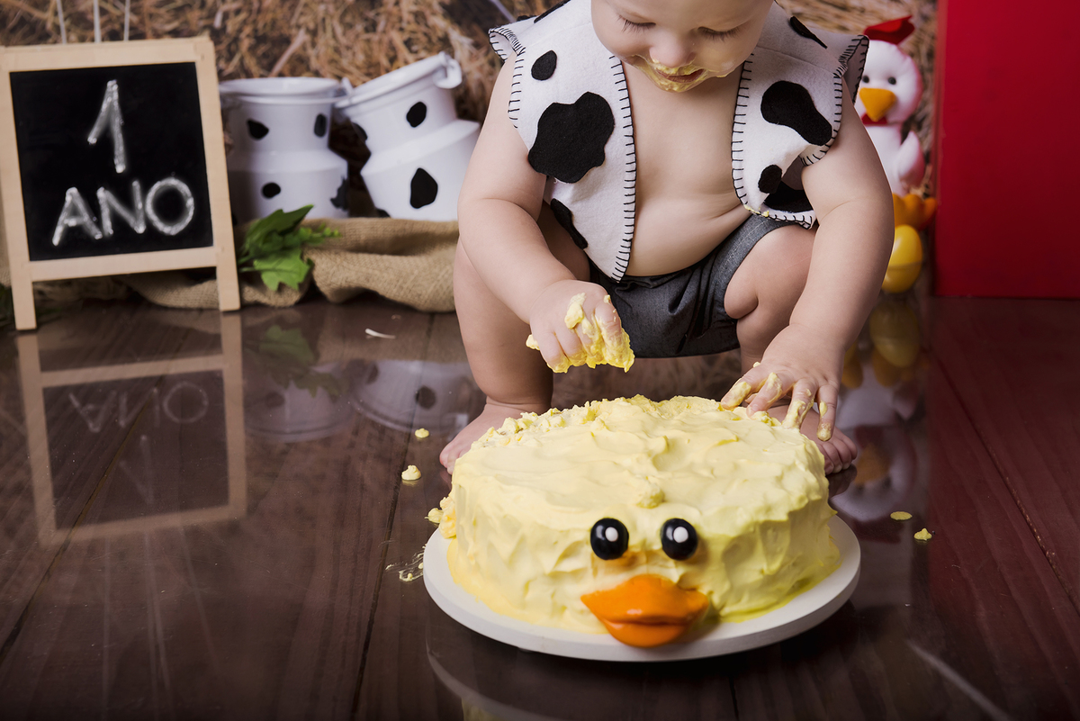 Ensaio smash the cake, ensaio bebê, fotógrafa em Niterói, smash the cake Niterói, smash the cake Rio de Janeiro, smash the cake São Goncalo, smash the cake temático, nossa casa petit, ensaio fotográfico, sessão fotográfica, fazendinha, splash
