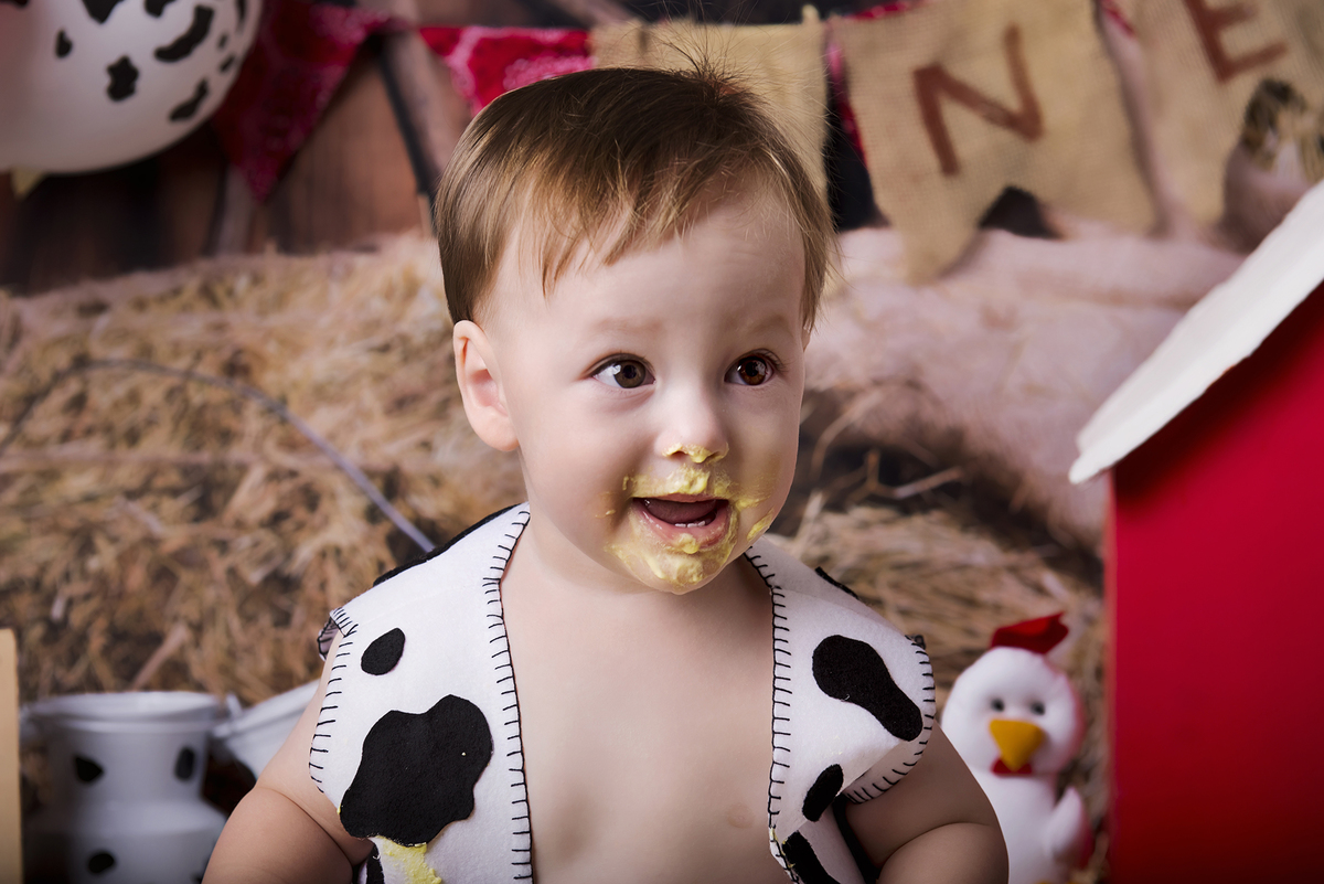 Ensaio smash the cake, ensaio bebê, fotógrafa em Niterói, smash the cake Niterói, smash the cake Rio de Janeiro, smash the cake São Goncalo, smash the cake temático, nossa casa petit, ensaio fotográfico, sessão fotográfica, fazendinha, splash