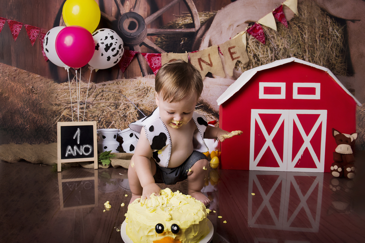 Ensaio smash the cake, ensaio bebê, fotógrafa em Niterói, smash the cake Niterói, smash the cake Rio de Janeiro, smash the cake São Goncalo, smash the cake temático, nossa casa petit, ensaio fotográfico, sessão fotográfica, fazendinha, splash