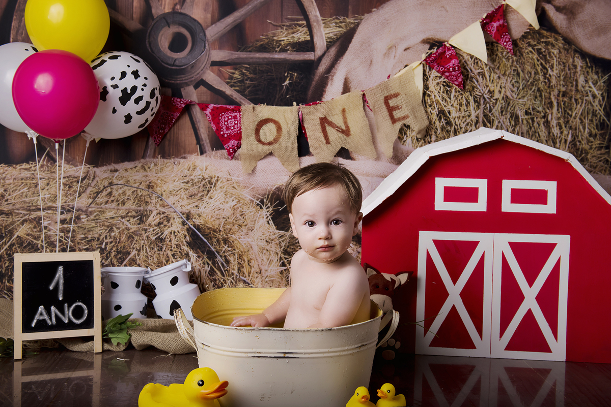 Ensaio smash the cake, ensaio bebê, fotógrafa em Niterói, smash the cake Niterói, smash the cake Rio de Janeiro, smash the cake São Goncalo, smash the cake temático, nossa casa petit, ensaio fotográfico, sessão fotográfica, fazendinha, splash