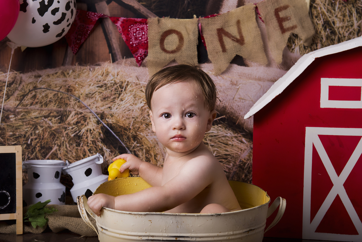 Ensaio smash the cake, ensaio bebê, fotógrafa em Niterói, smash the cake Niterói, smash the cake Rio de Janeiro, smash the cake São Goncalo, smash the cake temático, nossa casa petit, ensaio fotográfico, sessão fotográfica, fazendinha, splash