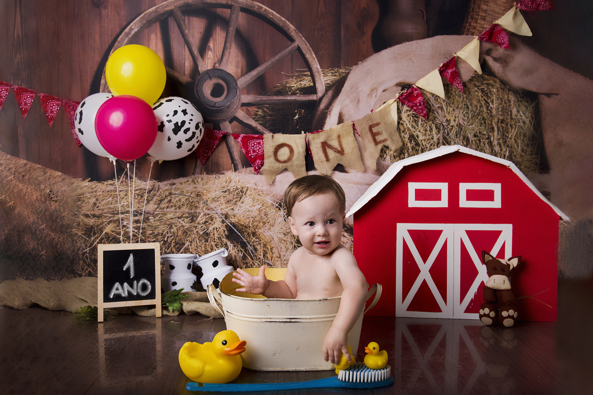 Ensaio smash the cake, ensaio bebê, fotógrafa em Niterói, smash the cake Niterói, smash the cake Rio de Janeiro, smash the cake São Goncalo, smash the cake temático, nossa casa petit, ensaio fotográfico, sessão fotográfica, fazendinha, splash