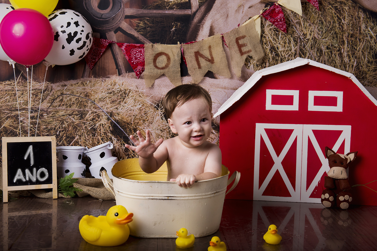 Ensaio smash the cake, ensaio bebê, fotógrafa em Niterói, smash the cake Niterói, smash the cake Rio de Janeiro, smash the cake São Goncalo, smash the cake temático, nossa casa petit, ensaio fotográfico, sessão fotográfica, fazendinha, splash