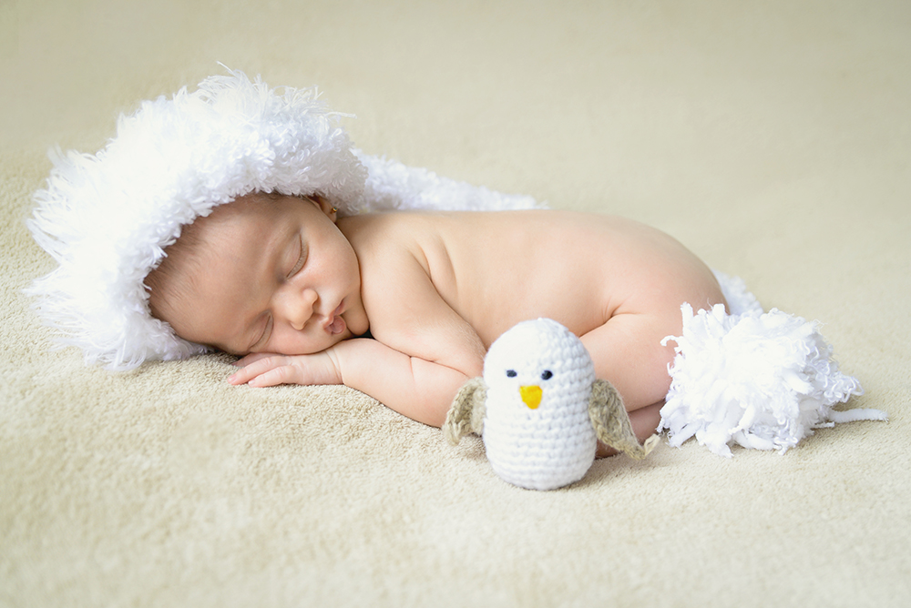 ensaio fotográfico newborn menina bebe recém nascida book fotográfico fotografia estúdio rio de janeiro niteroi são Gonçalo pose bundinha com touquinha e passarinho