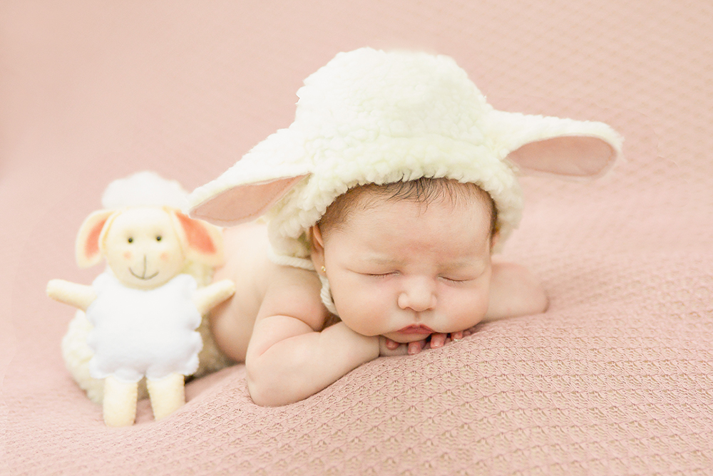 ensaio fotográfico newborn menina bebe recém nascida book fotográfico fotografia estúdio rio de janeiro niteroi são Gonçalo pose bracinho touquinha