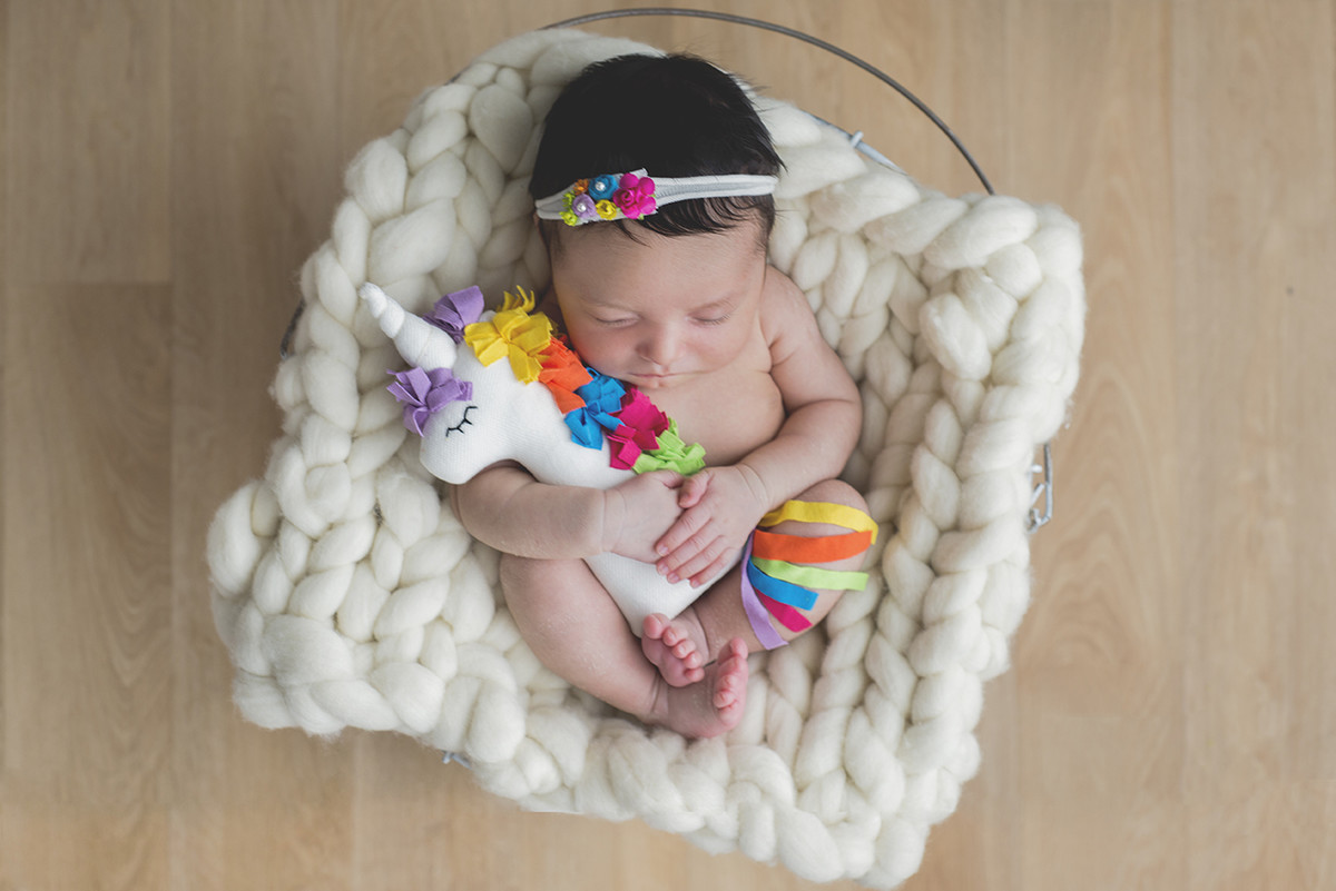 ensaio fotográfico newborn menina bebe recém nascida book fotográfico fotografia estúdio rio de janeiro niteroi são Gonçalo pose ninho com unicornio