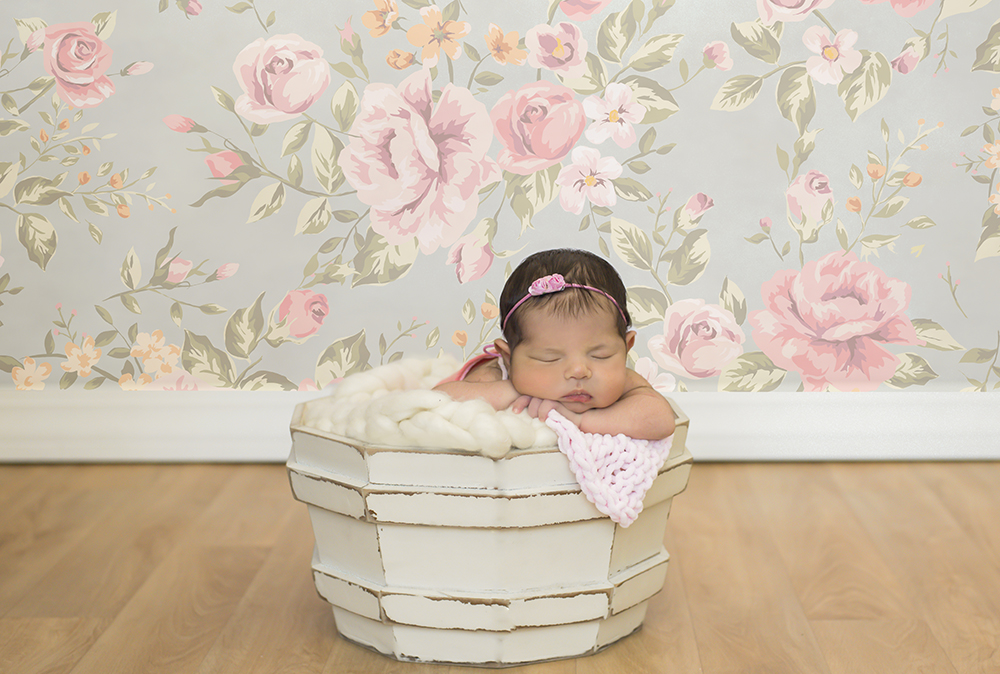 ensaio fotográfico newborn menina bebe recém nascida flores book fotográfico fotografia estúdio rio de janeiro niteroi são Gonçalo pose cestinho com bracinho