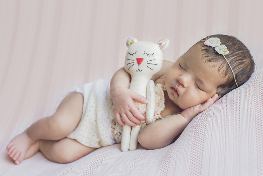 ensaio fotográfico newborn menina bebe recém nascida flores book fotográfico fotografia estúdio rio de janeiro niteroi são Gonçalo pose sonequinha com gatinho