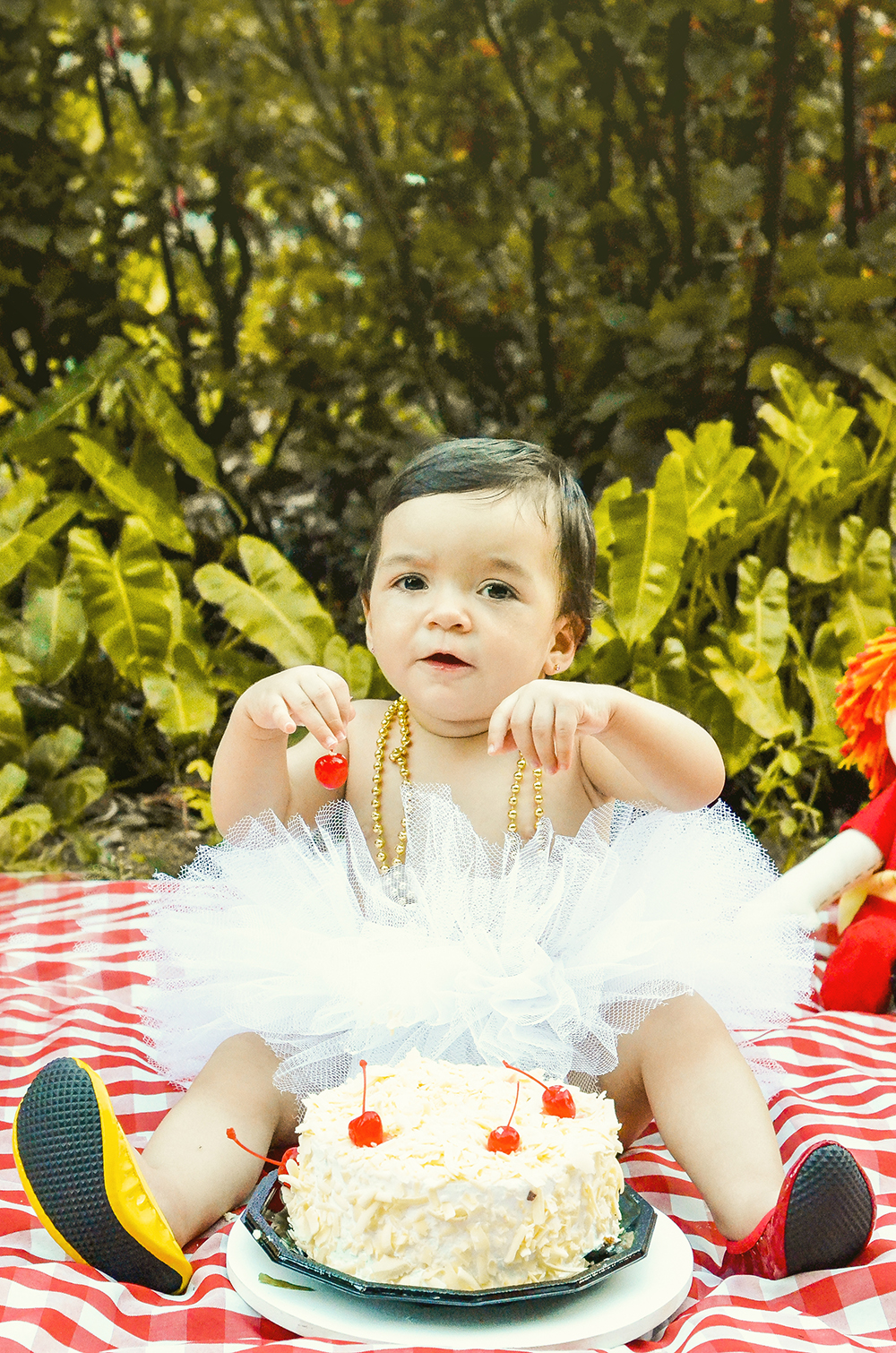 ensaio smash the cake esmagamento do bolo sessão fotográfica book fotográfico menina fotografia niteroi fotografo rio de janeiro são Gonçalo sitio do pica pau amarelo decoração recife pernambuco