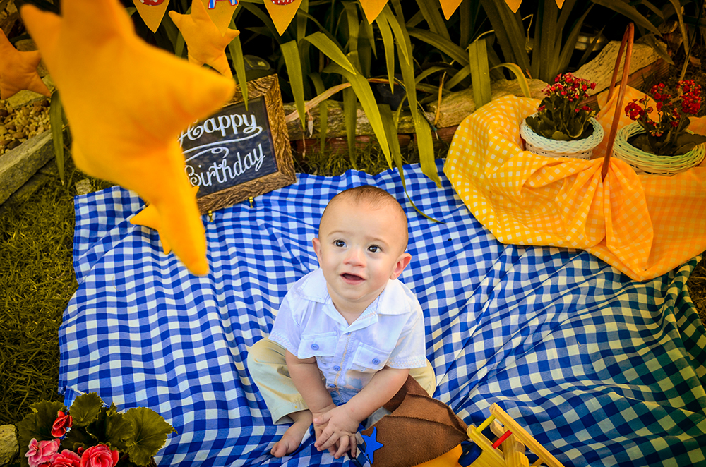 ensaio fotografico pre aniversário menina bebe infantil  book fotografia smash the cake temático pequeno príncipe picnic  closes retrato flores rio de janeiro niteroi são Gonçalo