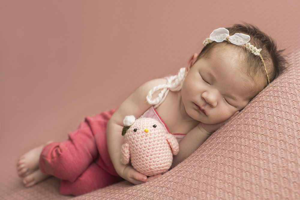 ensaio fotográfico newborn menina bebe recém nascida book fotográfico fotografia estúdio rio de janeiro niteroi são Gonçalo pose sonequinha com bicinho de pelucia