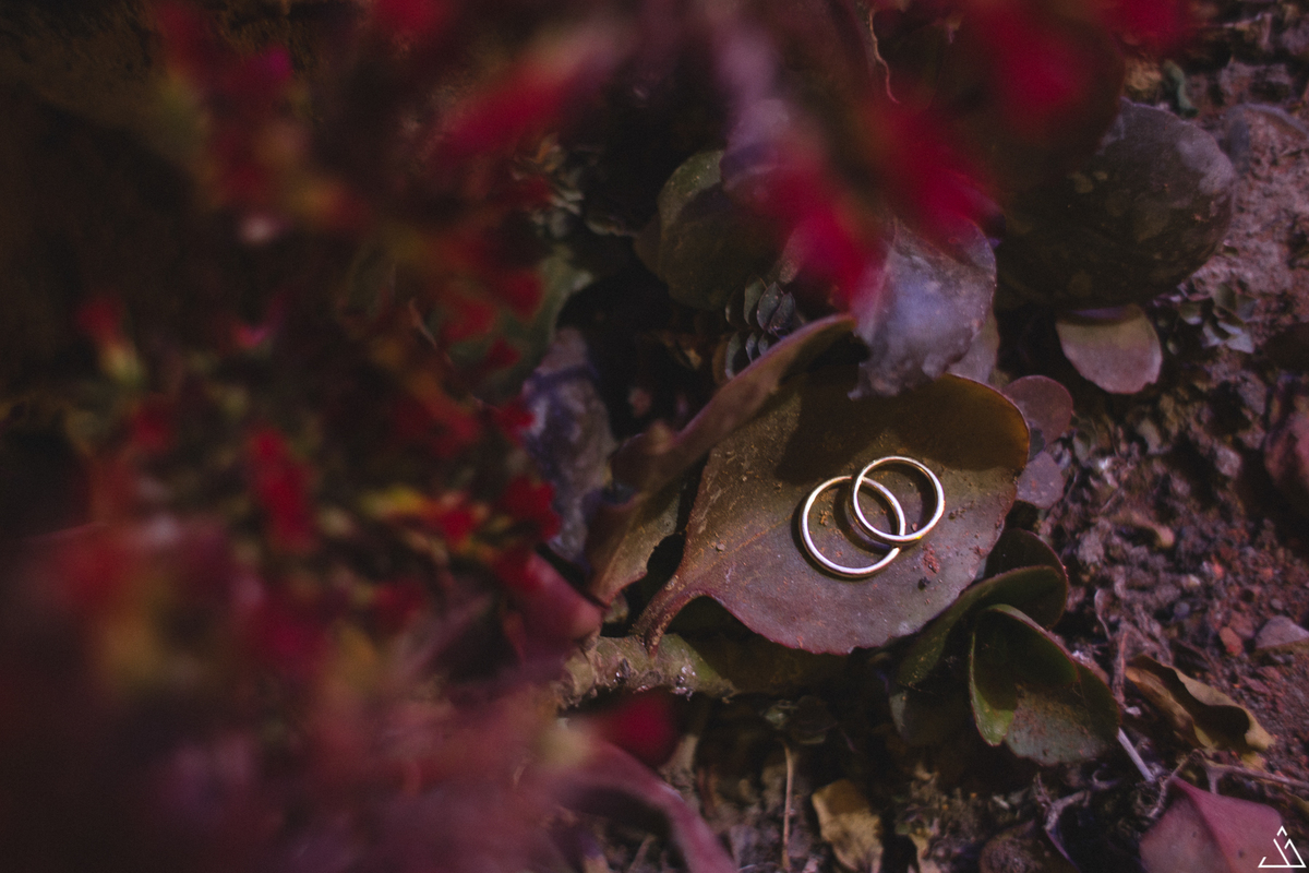 Fotógrafo de casamento. Jessica mendes fotografia. Fotos do casamento de dia. comedoria mulheres de fibra. alto do moura -pe. foto dos anéis dos noivos