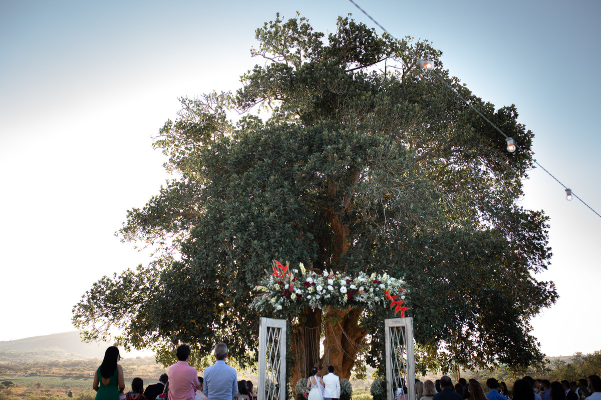 Jessica Mendes fotografia. fotos de  casamento no campo de dia.  Fotógrafa de casamento em Recife e região. Fotógrafo de casamento em Recife, Caruaru e Região. Cerimônia religiosa evangélica no campo. Filhos lavam os pés dos pais em cerimônia.