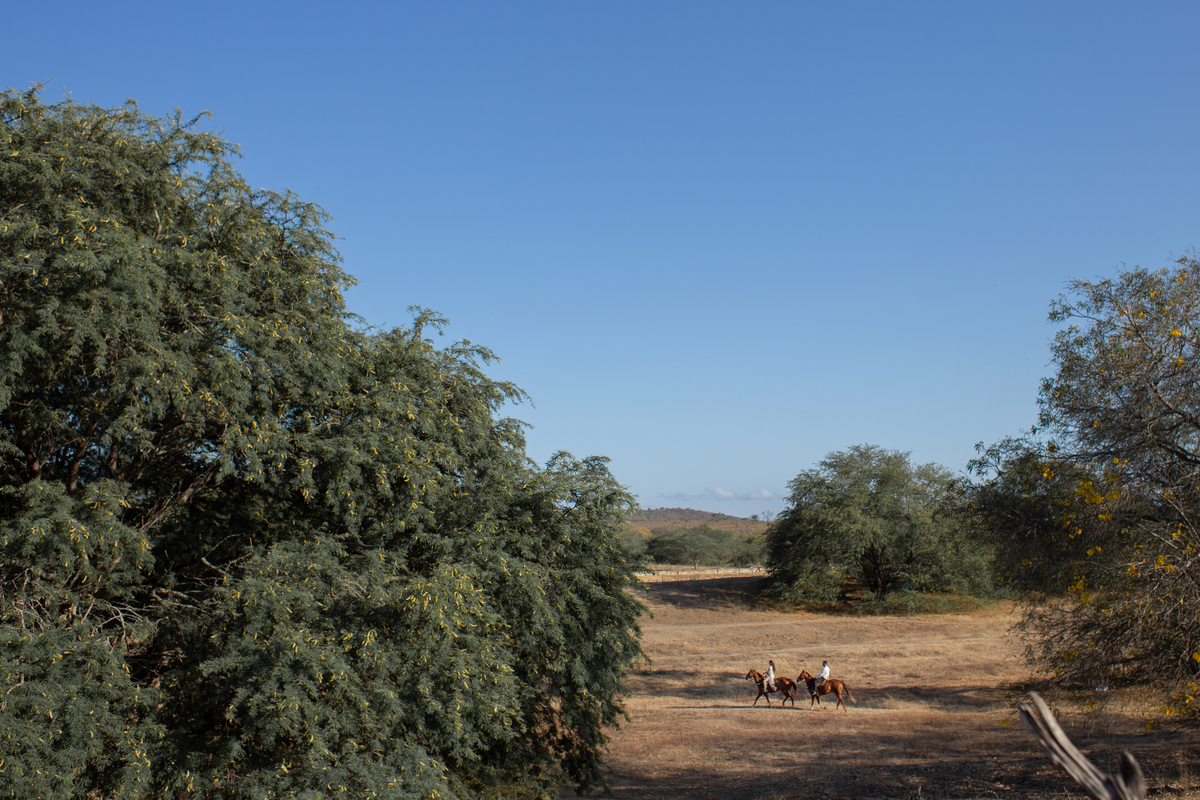 ensaio de casal na cidade de Triundo-PE. Fotos de pré casamento em Pernambuco. Jessica mendes fotografia. fotos de casal na fazenda andando a cavalo.