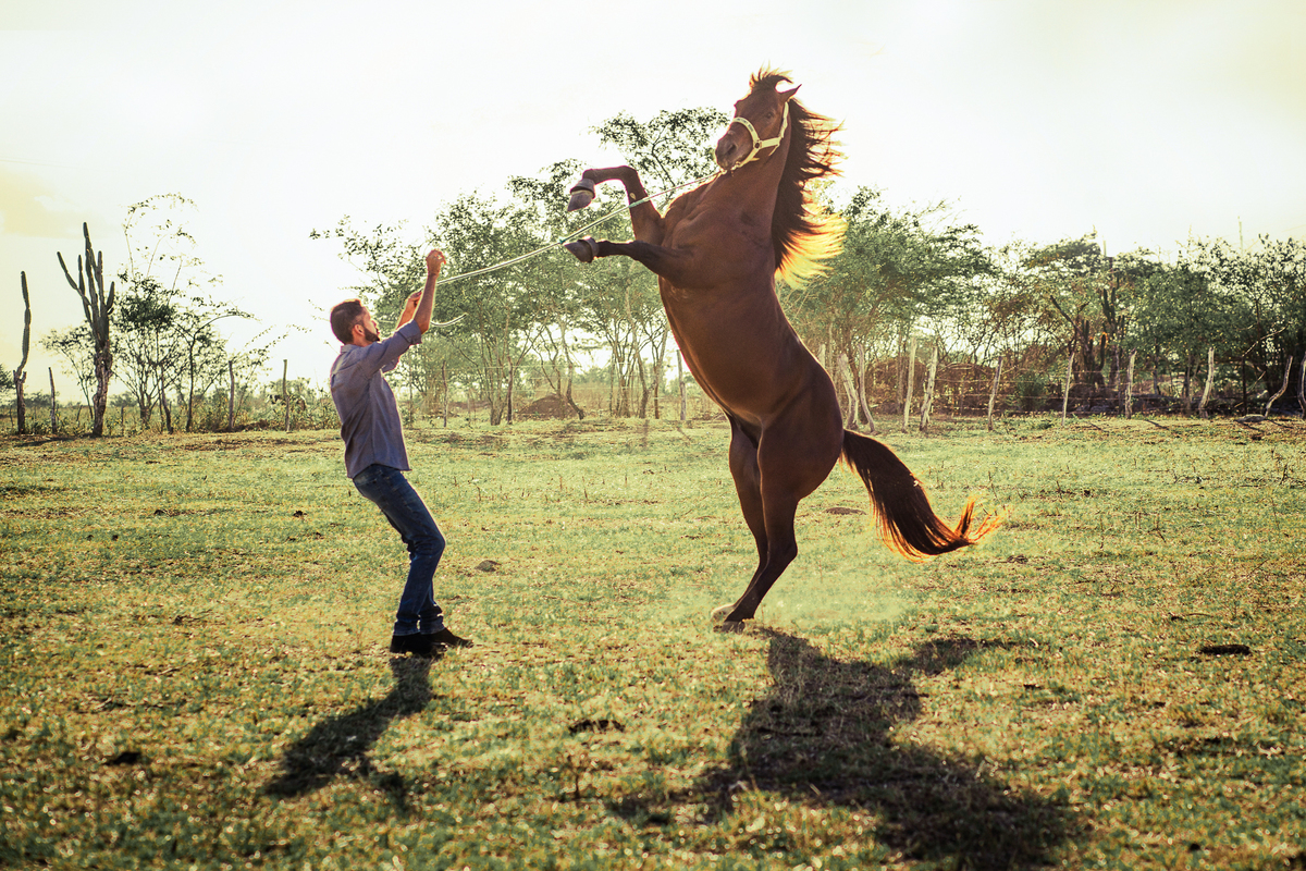foto do ensaio de pre casamento. Homem e cavalo de pé.