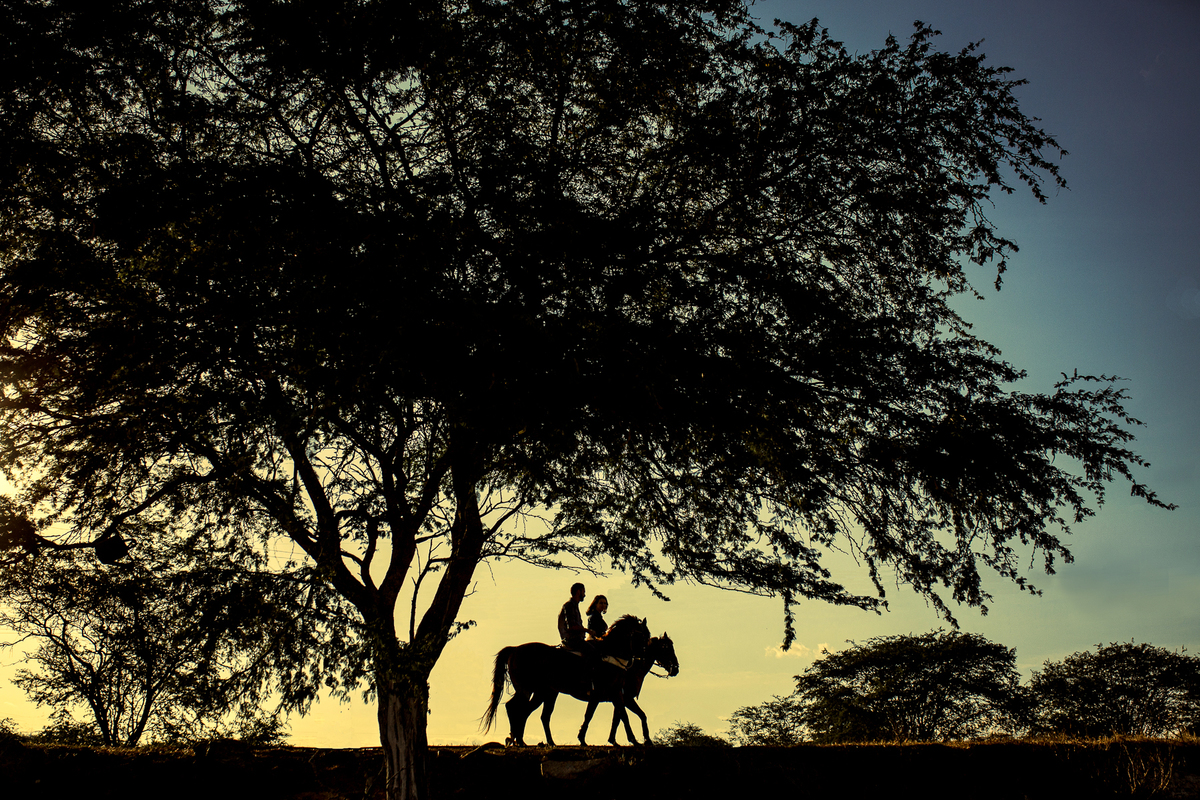 casal andando a cavalo no pôr do sol e árvore como moldura. Ensaio de casal, fotos de pre casamento na fazenda. Passeio romântico à cavalo.