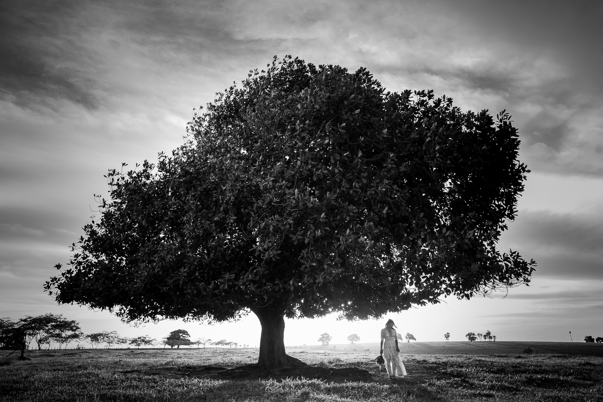 foto de noiva em baixo da árvore 