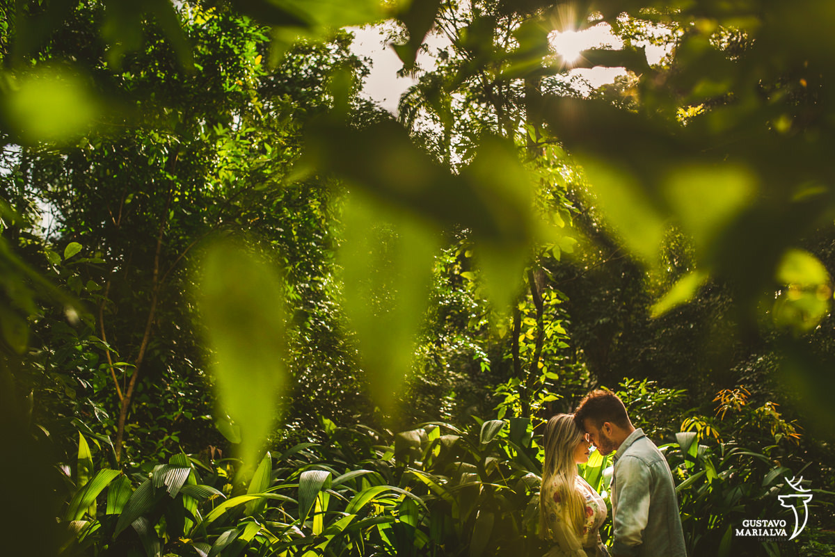 casal se abraça envolto a plantas e iluminados pela luz do sol