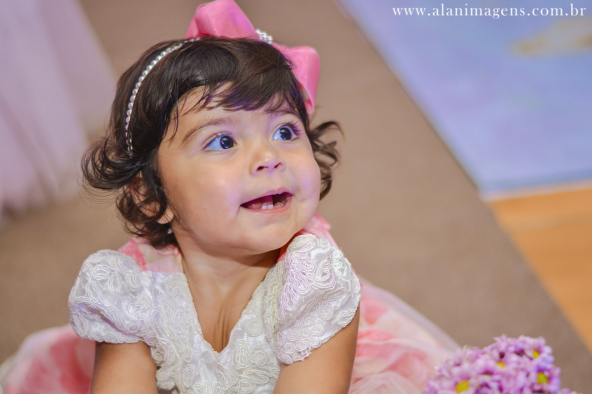 bolo de aniversário de 1 ano fotos de aniversario alan imagens fotografia