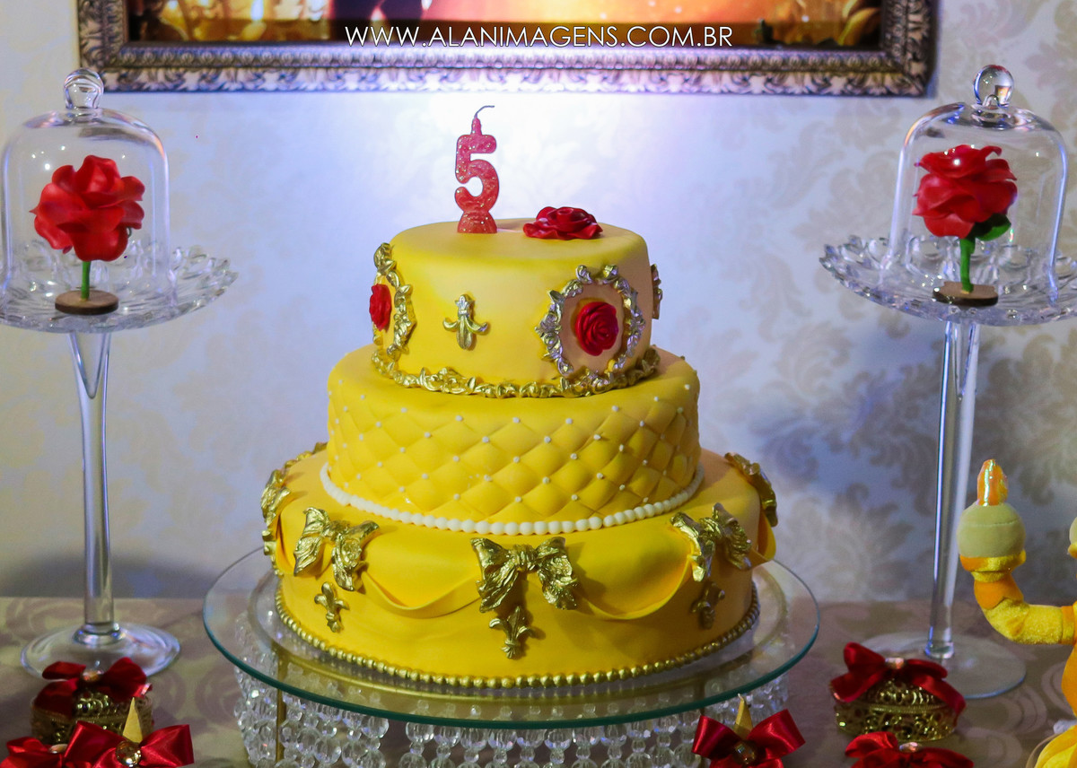 aniversário infantil fotografo Alan lira Alan imagens fotos de aniversário decoraçã ode aniversário Dona Inês-PB paraíba