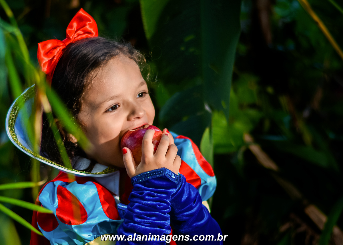 FOTOGRAFO ALAN LIRA ALAN IMAGENS FOTOS DE GUARABIRA FOTOS DE SERTÃOZINHO BRANCA DE NEVE PARAÍBA FOTOS BICA DOS COCOS