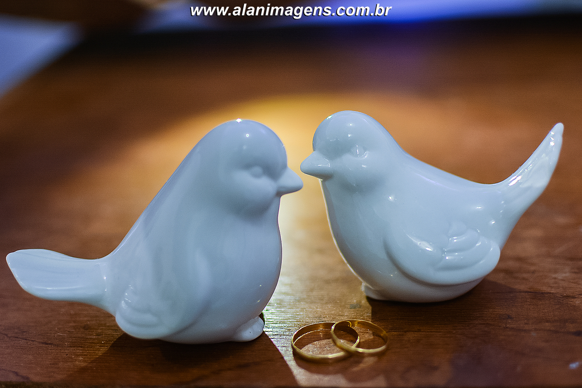 Fotos belém fotos guarabira fotos sertãozinho fotografo alan lira fotografo alan imagens fotografia de casamento o melhor fotográfo da região paraíba fotos de bananeiras-PB