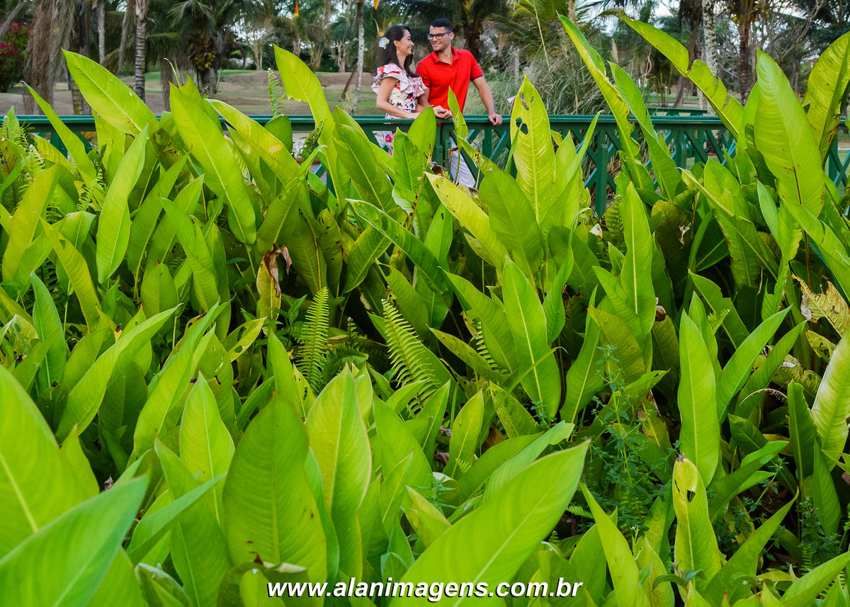 ENSAIO PRE CASAEMTNO CONDOMÍNIO CAMINHOS DA SERRA BANANEIRAS PB PARAÍBA MELHOR FOTOGRÁFO DA REGIÃO GUARABIRA PARAIBA ALAN LIRA ALAN IMAGENS FOTOS DE CASAMENTO BANANEIRAS FOTOS DE CASAMETNO GUARABIRA FOTOS DE SERTÃOZINHO