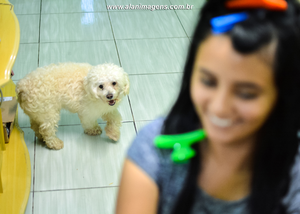 fotografia de casamento fotografo em guarabira fotos de guarabira paraíba bananeiras fotos de bananeiras casamento fotografo alan lira alan imagens fotos de alan imagens fotógrafos de ensaio pré casamento fotos de sertãozinho-
pb
