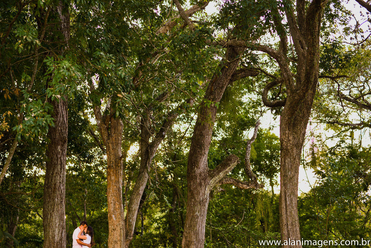 Fotos_bananeiraspb_fotos_guarabirapb_paparazimania_precasamento_casamento_alanlira_fotografo_de_casamento_fotos_paraíba