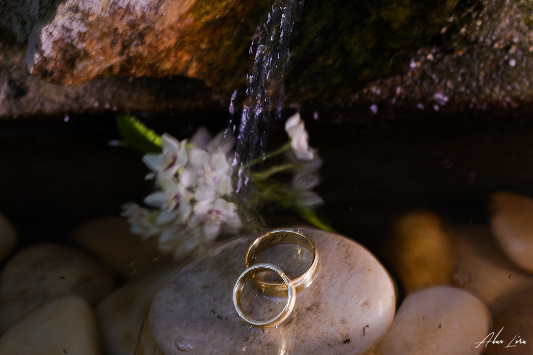 guarabira_maisondemel_casamento_fotosdecasamento_paparazimania_fotografoemguarabira_alanlirafotografo_casamentoaoarlivre_noivaemguarabira_fotosbananeirapb_casamentoembananeiras_fotosdebelémpb_fotosdecasamento_fotosdenoivas_pb