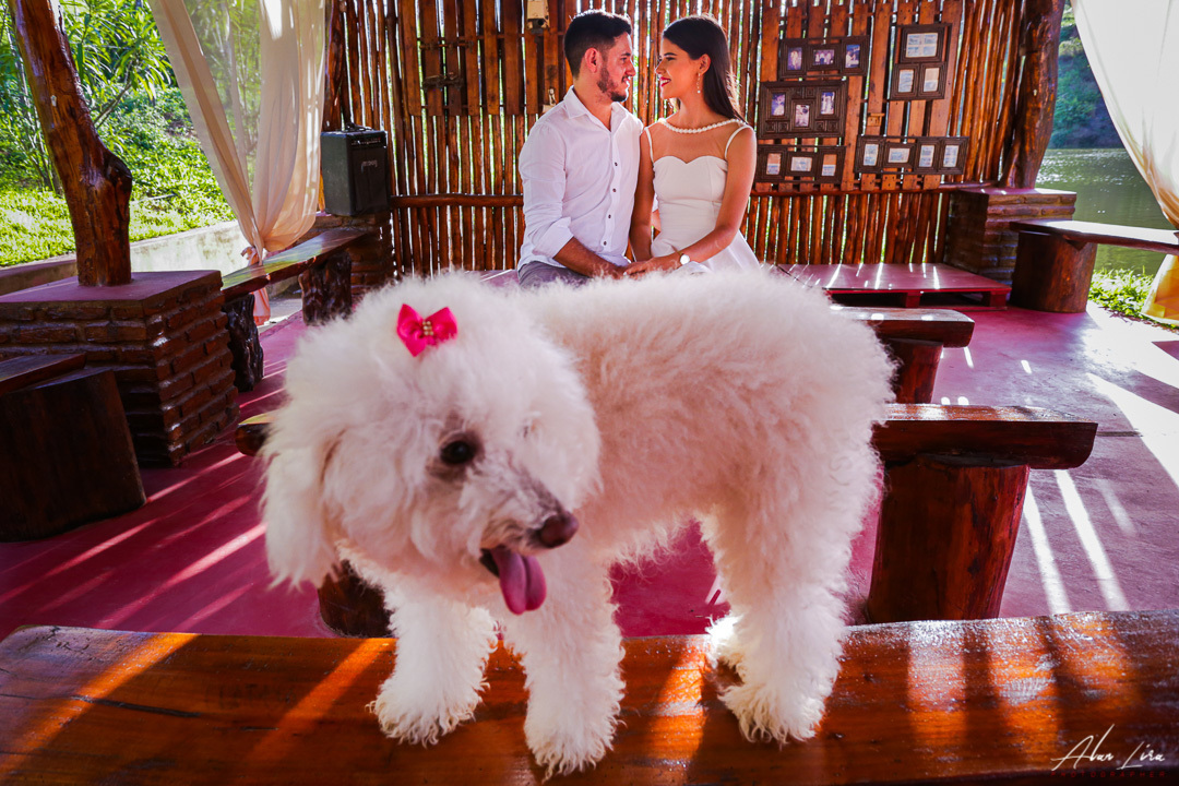 guarabira_maisondemel_casamento_fotosdecasamento_paparazimania_fotografoemguarabira_alanlirafotografo_casamentoaoarlivre_noivaemguarabira_fotosbananeirapb_casamentoembananeiras_fotosdebelémpb_fotosdecasamento_fotosdenoivas_pb