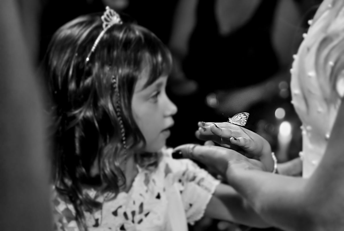 Cerimonia das borboletas, cerimonia de casamento com borboletas, butterfly wedding cerimony, fotografias de casamento com borboletas, borboletas no casamento, nova tendencia de casamento com borboletas, fotografia de casamento campinas, fotografia campina