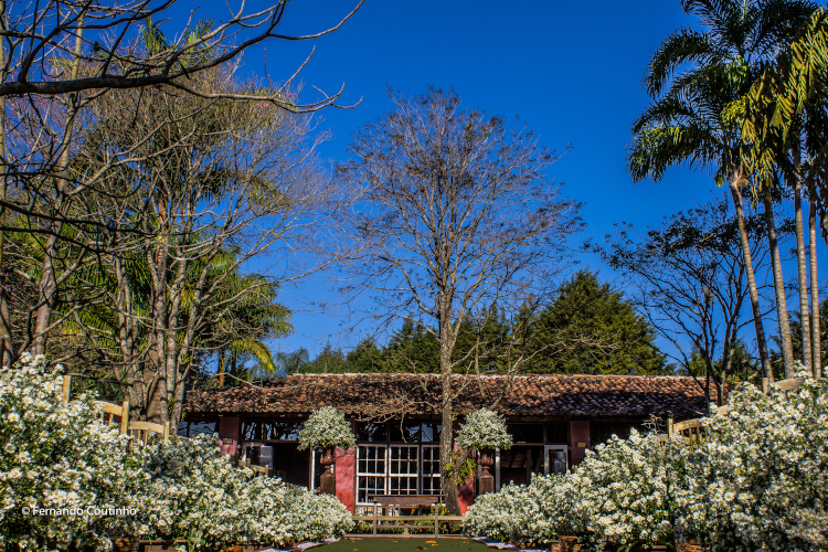 Fotografo de casamento em Campinas, Fotografia de Casamento em Campinas, Fotografo de Casamento em Joaquim Egidio, Fotografia de Casamento em Joaquim Egidio, Fotografo de Casamento em Vinhedo, Fotografia de Casamento em Vinhedo, Fotografo de Casamento em 