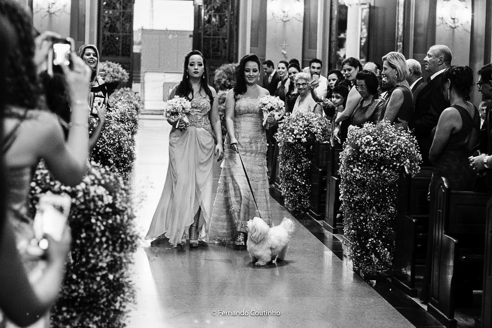 momento da entrada das damas de honra e pajens no casamento acompanhada do mascote da familia um caozinho lindo que encantou a todos no casamento