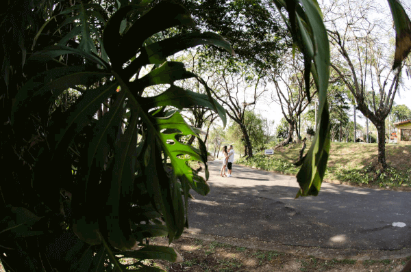 Fotografia Ensaio Pre Wedding Hotel Fazenda Duas Marias em Jaguariuna Sao Paulo Ensaio de Noivos regiao metropolitana Campinas fotografias de Fernando Coutinho fotografo casamento ABC