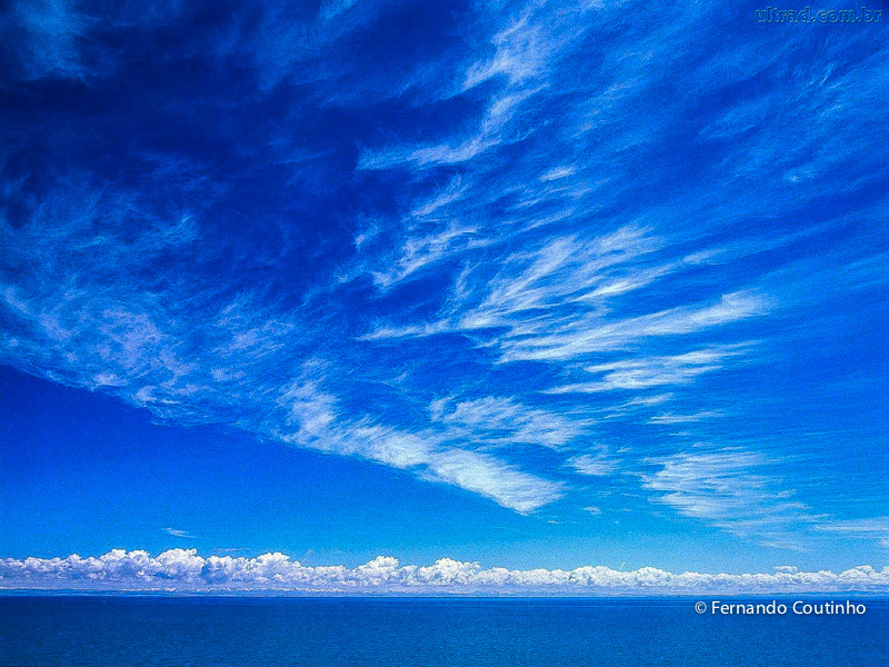 Casamento na praia, casamento no litoral, Barracudas beach bar e restaurante, praia de toc toc pequeno, sao sebastiao, ceu azul,fernando coutinho, fotografia de casamento, fotografo de casamento, festa de 15 anos, eventos sociais, aniversarios, wedding ph