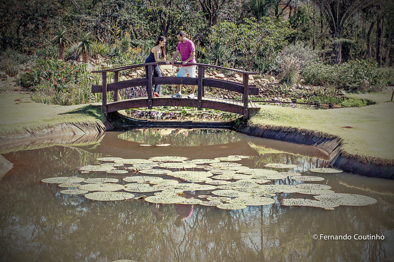 Renata e Douglas, Pre wedding bacana, pre wedding em campinas, pre wedding em nova odessa, pre wedding de manha, pre wedding a tarde, Jardim Botanico Plantarum, fotos de casal em campinas, fotos de casal em nova odessa, cidade de sumare, fernando coutinho