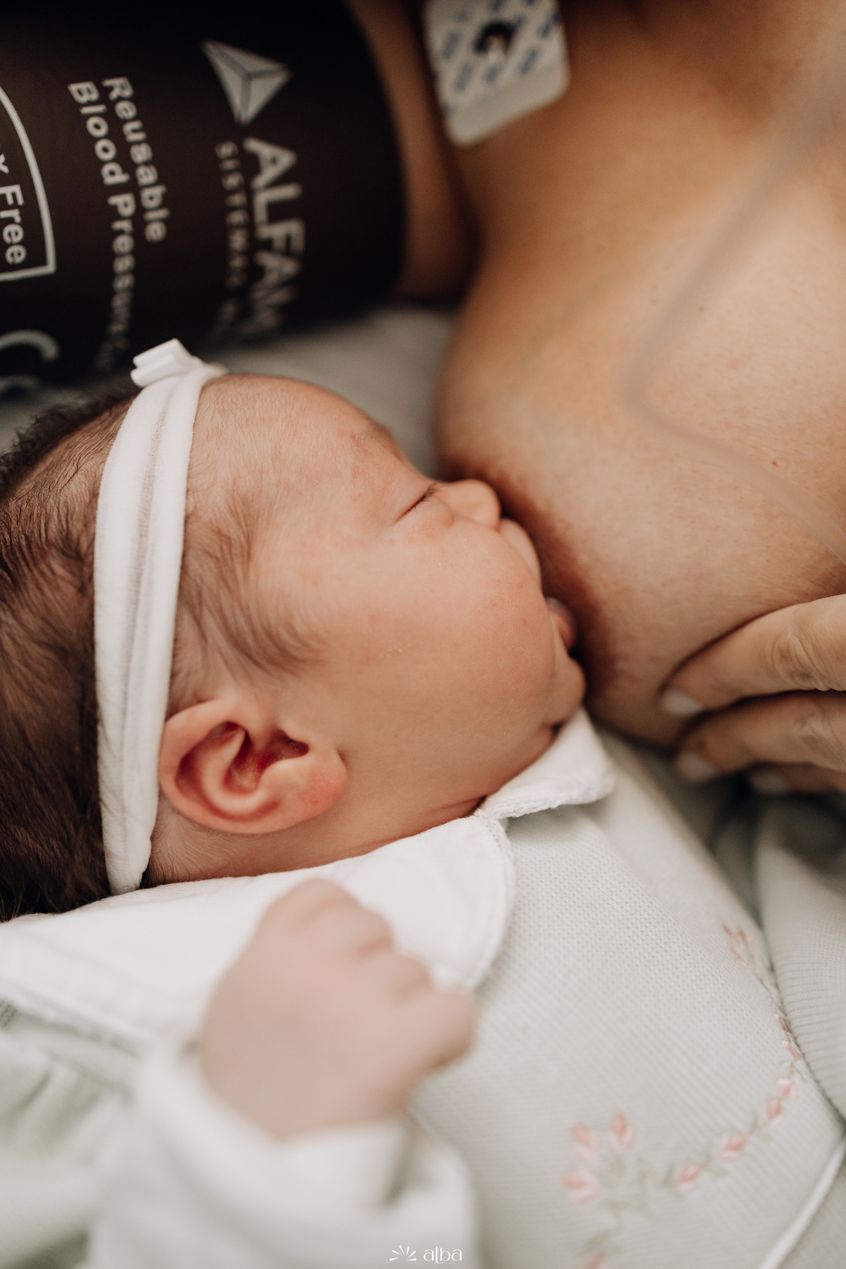 Close da Amália mamando no peito da mamãe no Hospital Bruno Born, em Lajeado/RS — fotografia do Alba Estúdio.