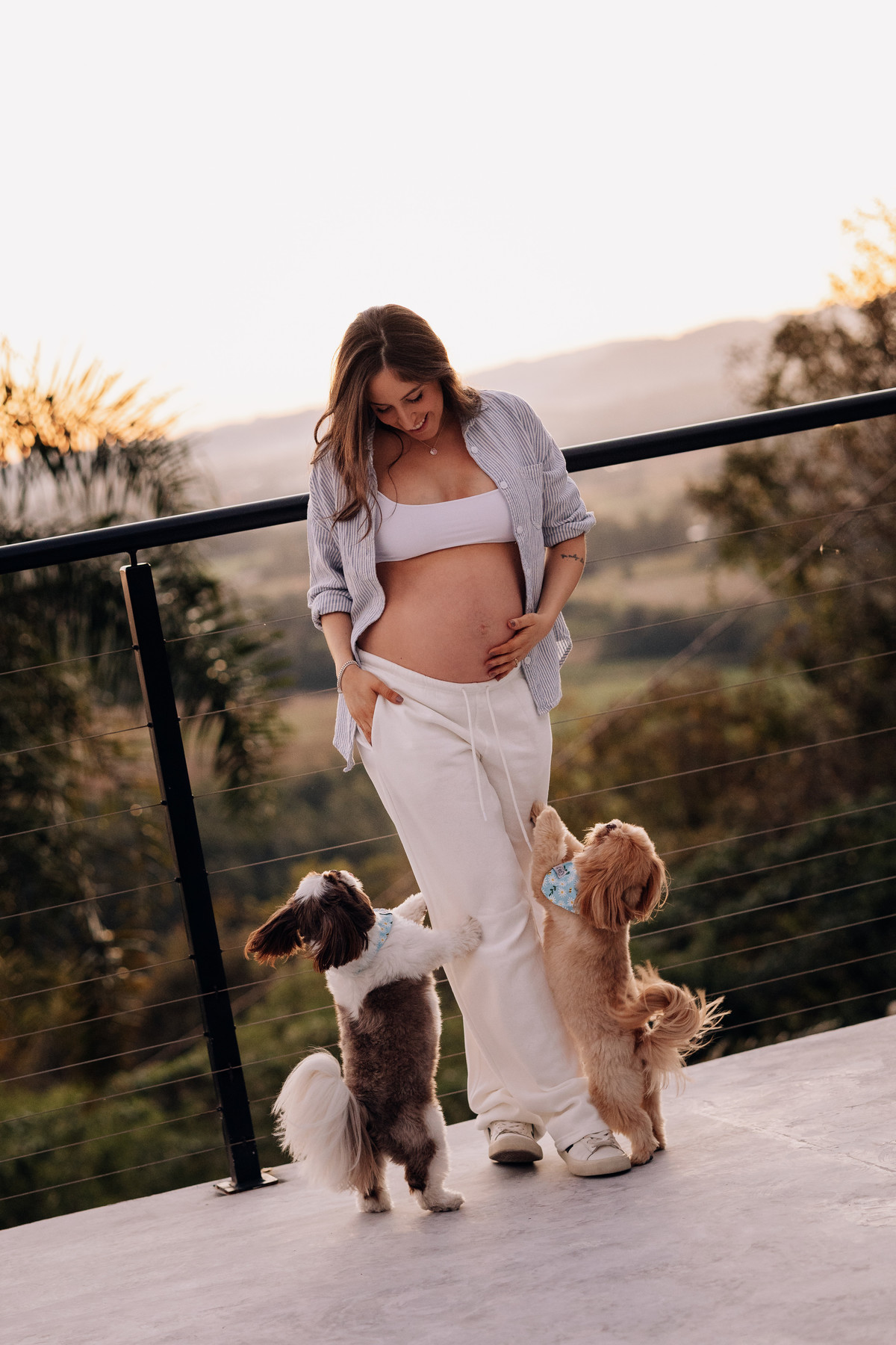Gestante com seus dois cachorros durante ensaio externo ao pôr do sol | Ensaio gestante com pets em Lajeado pelo Alba Estúdio.