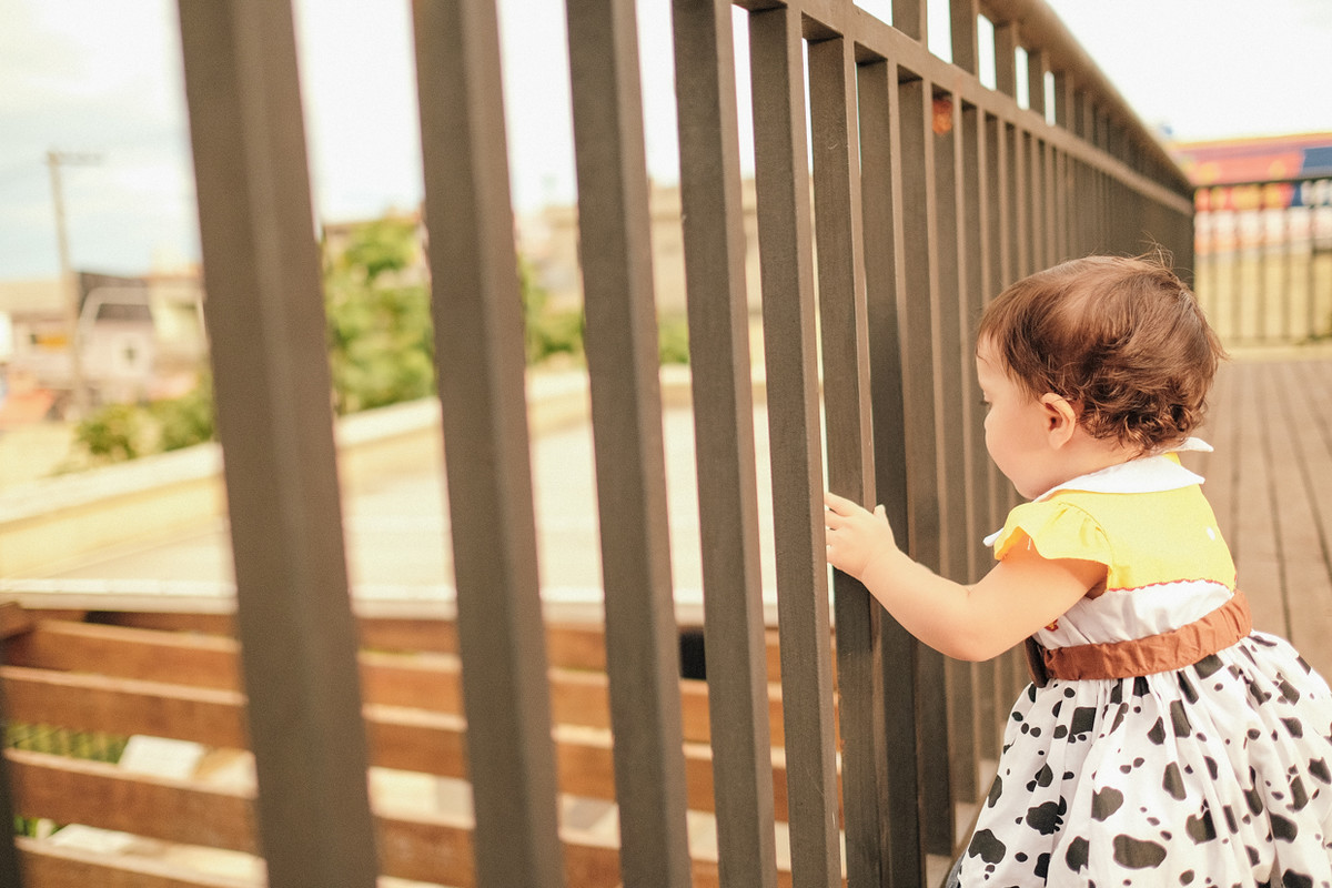 Toy Story ToyStory aniversário infantil kids Ana