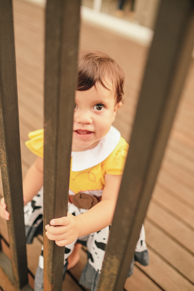 Toy Story ToyStory aniversário infantil kids Ana