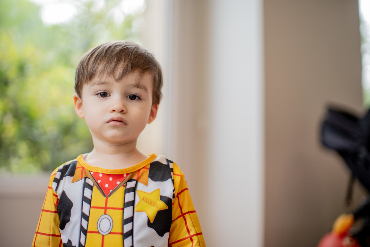 Aniversário Matheus Toy Story2 anos camila Kobata davi martins