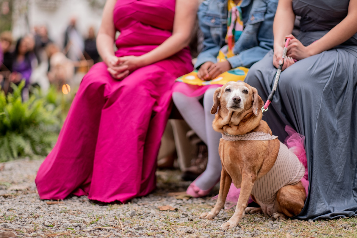 casamento thais Alex Davi Martins Club Rotary - Guarulhos - SP