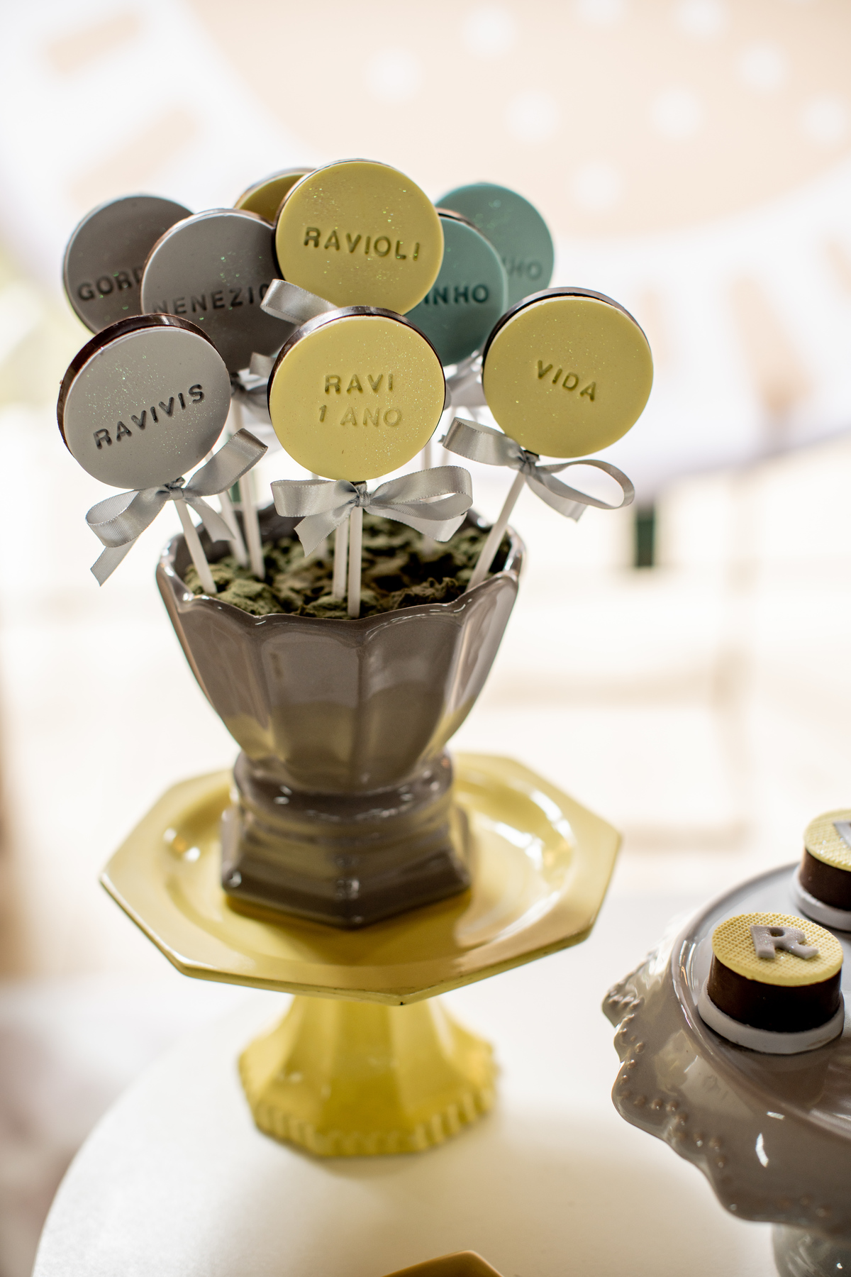 Aniversário Ravi Sítio Azaléia - Arujá - SP camila kobata