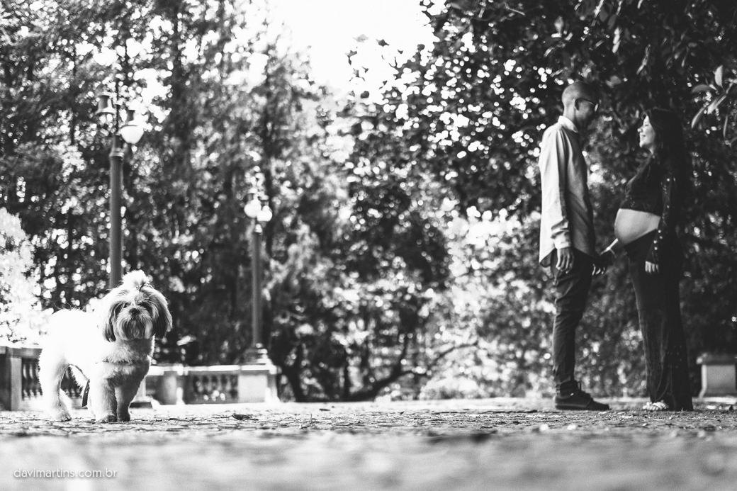 ensaio gestação museu ipiranga Priscila David Arthur davimartins davi martins DOG