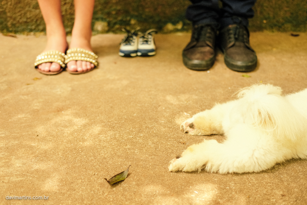 ensaio gestação museu ipiranga Priscila David Arthur davimartins davi martins DOG