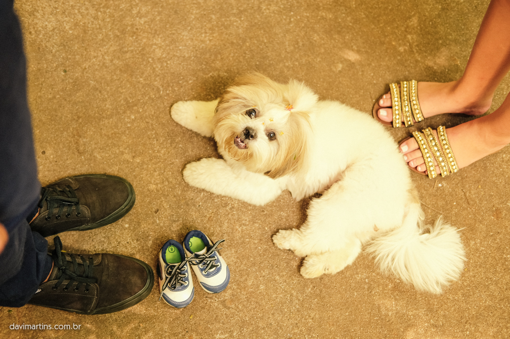 ensaio gestação museu ipiranga Priscila David Arthur davimartins davi martins DOG