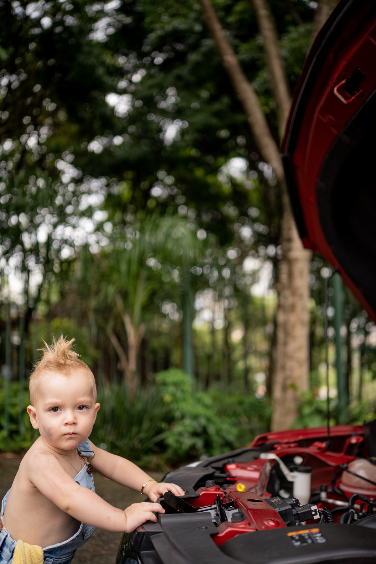 Ensaio da família do Francisco Bosque Maia - Guarulhos - SP